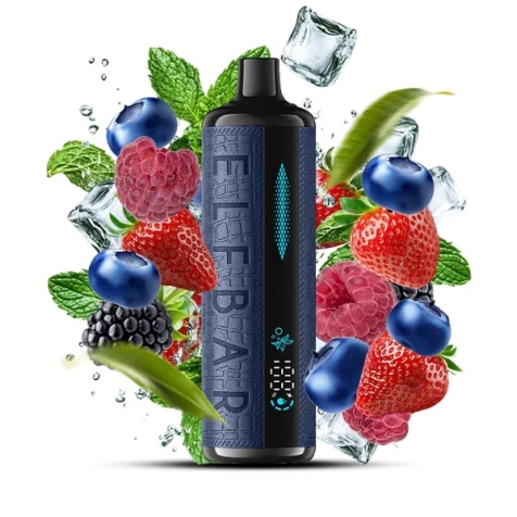 Одноразка Elf Bar E-Shisha Berry Mint (Ягоды Мята) (12000 Затяжек)