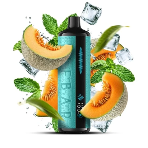 Одноразка Elf Bar E-Shisha Melon Mint (Дыня Мята) (12000 Затяжек)