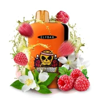 Одноразка Elf Bar GH Jasmine Raspberry (Жасмин Малина) (23000 Затяжок)