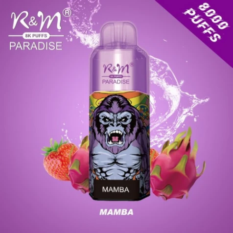 Одноразка R&M Paradise Mamba (Мамба) (8000 Затяжок)