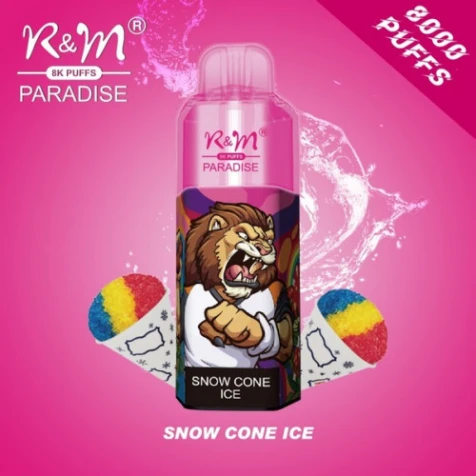 Одноразка R&M Paradise Snow Cone Ice (Мороженое) (8000 Затяжек)