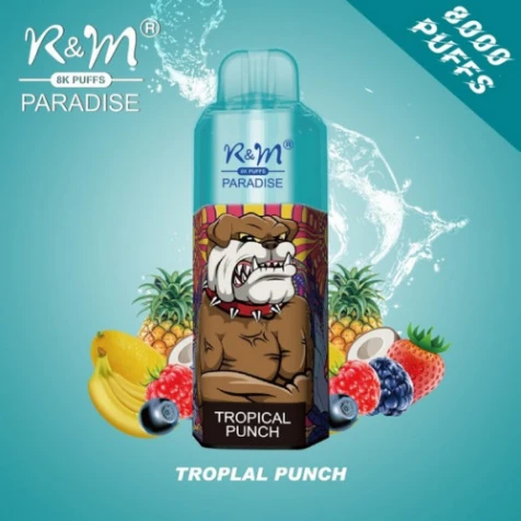 Одноразка R&M Paradise Tropical Punch (Тропічний Пунш) (8000 Затяжок)