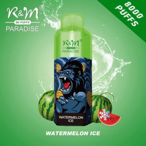 Одноразка R&M Paradise Watermelon Ice (Арбуз Лёд) (8000 Затяжек)
