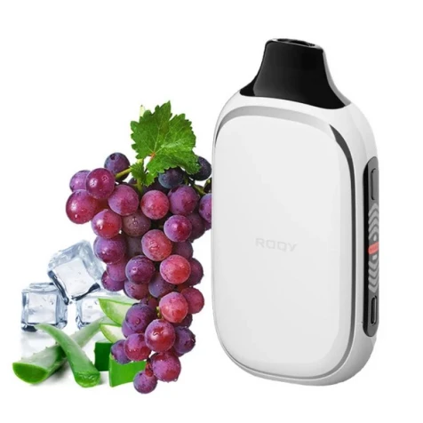 Одноразка Roqy Aloe Grape Icy (Алое Виноград Лід) (40000 Затяжок)