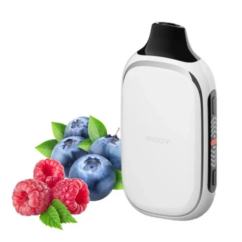 Одноразка Roqy Sour Blueberry Raspberry (Кисла Чорниця Малина) (40000 Затяжок)