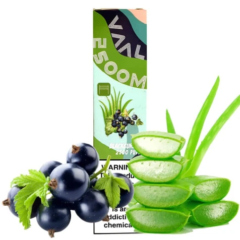 Одноразка VAAL Aloe Blackcurrant (Алоэ Черная Смородина) (2500 Затяжек)