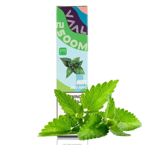 Одноразка VAAL Mint (М'ята) (2500 Затяжок)
