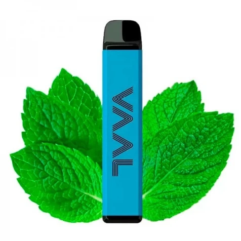 Одноразка VAAL Mint (М'ята) (4000M Затяжок)