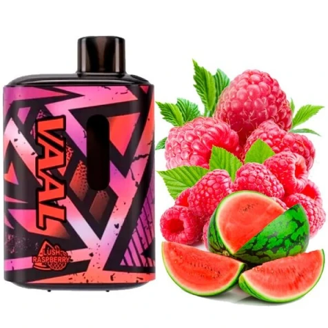 Одноразка VAAL Lush Raspberry (Кавун Малина) (5000 Затяжек)