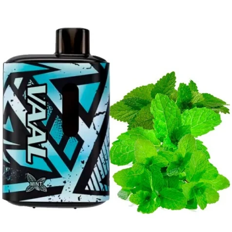 Одноразка VAAL Mint (Мята) (5000 Затяжек)