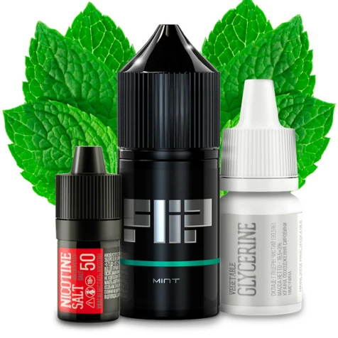 Набор Для Самозамеса Flip Salt Mint (Мята) 30 мл