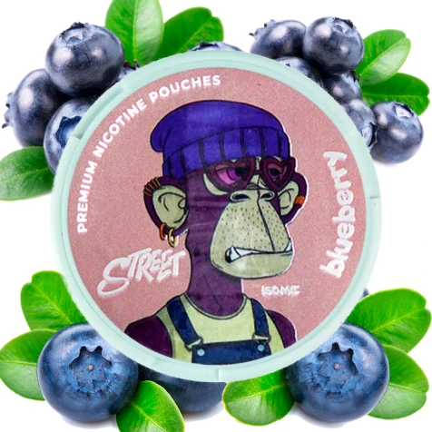 Бездымный табак Snus Street Blueberry (Черника)