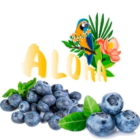 Безтютюнова Суміш Aloha Blueberry (Чорниця) 40гр