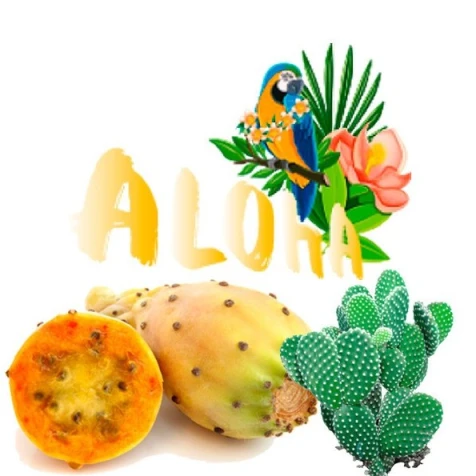 Безтютюнова Суміш Aloha Cactus (Кактус) 40гр