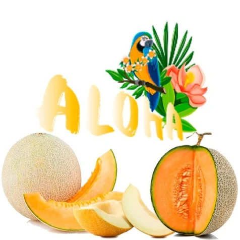 Безтютюнова Суміш Aloha Melon (Диня) 40гр