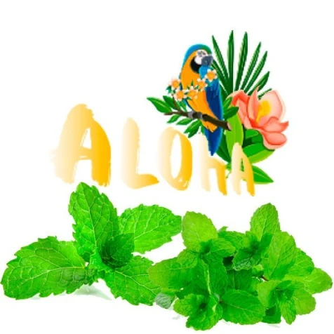 Безтютюнова Суміш Aloha Mint (М'ята) 40гр