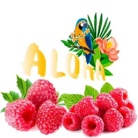 Безтютюнова Суміш Aloha Raspberry (Малина) 40гр