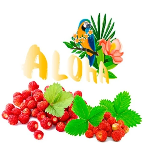 Безтютюнова Суміш Aloha Wild Berry (Суниця) 40гр