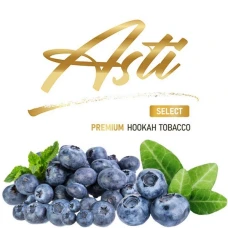 Табак Asti Premium Blueberry (Черника) 100гр