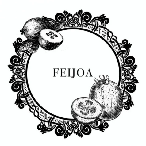 Тютюн Bagator Feijoa (Фейхоа) 50гр