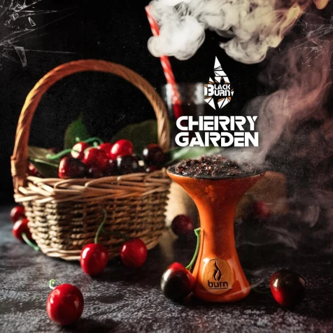 Тютюн Black Burn Cherry Garden (Вишневий Сад) 25гр
