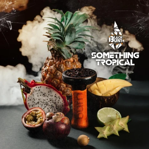 Тютюн Black Burn Something Tropical (Щось Тропіче) 25гр