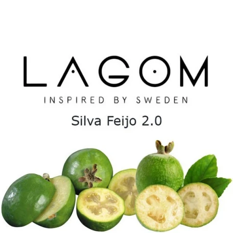 Табак Lagom Main Line Silva Feijo (Сильва Фейхо) 200гр