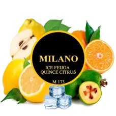 Табак Milano M173 Ice Feijoa Quince Citrus (Фейхоа Айва Цитрус Лёд) 100гр