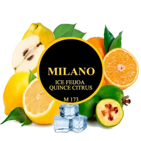 Табак Milano M173 Ice Feijoa Quince Citrus (Фейхоа Айва Цитрус Лёд) 100гр