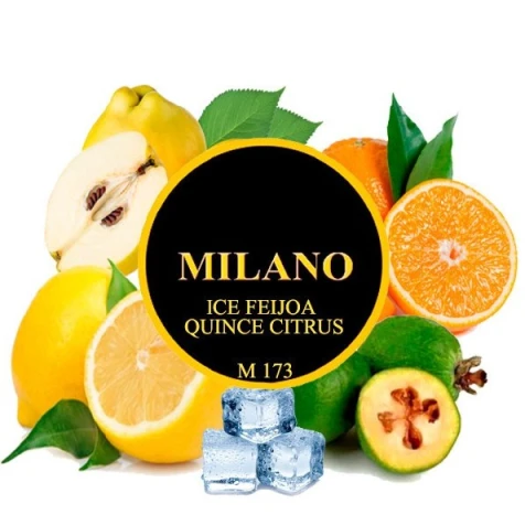 Табак Milano M173 Ice Feijoa Quince Citrus (Фейхоа Айва Цитрус Лед) 50гр