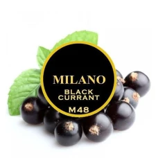 Табак Milano M48 Black Currant (Черная Смородина) 100гр