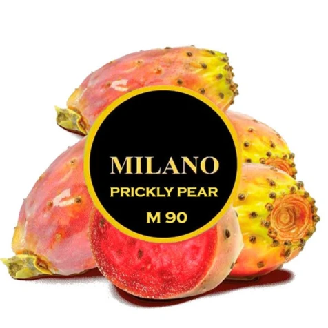 Табак Milano M90 Prickly Pear (Колючая Груша) 100гр
