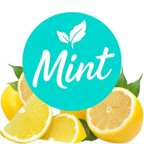 Бестабачная Смесь Mint Lemon (Лимон) 200гр