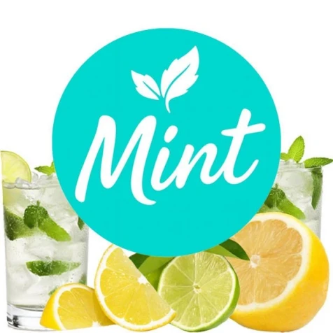 Безтютюнова Суміш Mint Mojito (Мохіто) 200гр