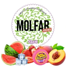 Табак Molfar Virginia Line Едем (Эдем) 40гр