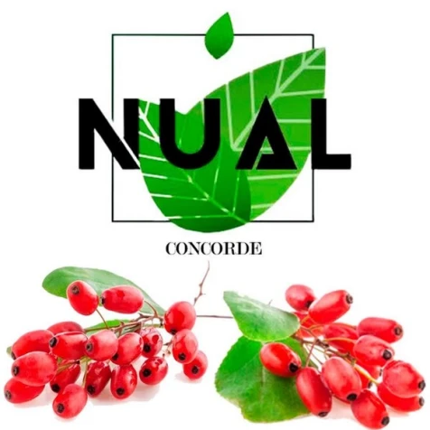 Тютюн Nual Concorde (Конкорд) 100гр