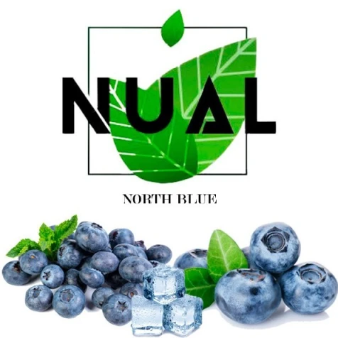 Тютюн Nual Northblu (Норсблю) 100гр