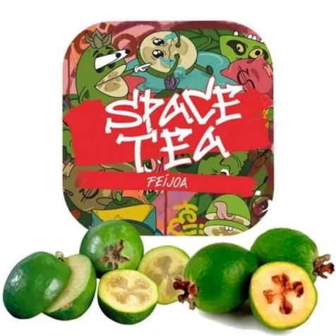Бестабачная смесь Space Tea Feijoa (Фейхоа) 100 г