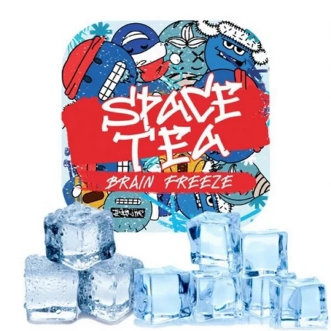 Бестабачная смесь Space Tea Brain Freeze (Холодок) 250 г