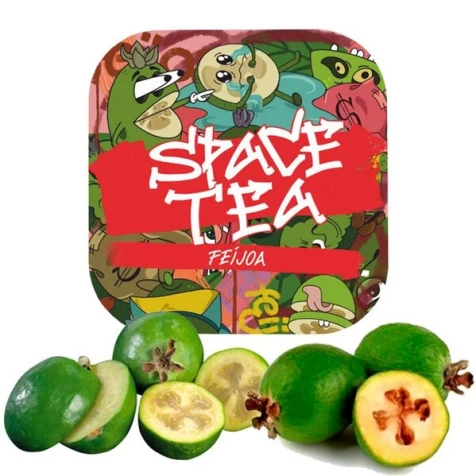 Бестабачная смесь Space Tea Feijoa (Фейхоа) 40 г