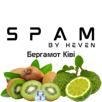 Табак Spam Bergamot Kiwi (Бергамот Киви) 200гр