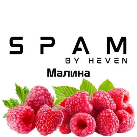 Табак Spam Raspberry (Малина) 200гр