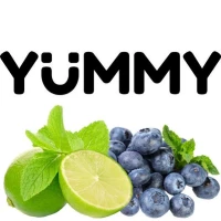 Табак Yummy Лайм Черника (Лайм Черника) 100гр
