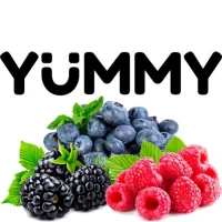 Табак Yummy Лісові Ягоди (Лесные Ягоды) 100гр