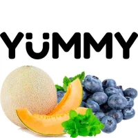 Табак Yummy Диня Чорниця М'ята (Дыня Черника Мята) 100гр