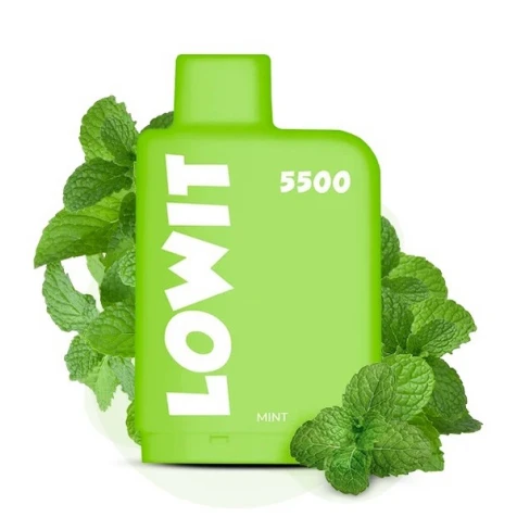 Заправлений Картридж Elf Bar Lowit 5500 Mint (М'ята)
