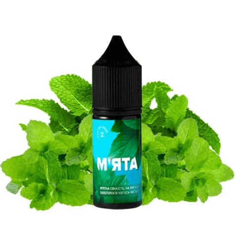 Солевая жидкость 420 Liquid Mint (Мята) 10 мл
